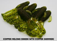 Image 3 of 3.25" Buzzard Bug (8 Pack)