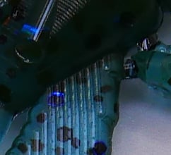 Image of 3.1” BuzzCraw (8 Pack)