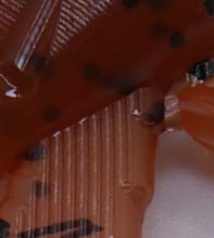 Image 16 of 3" Hellgrammite (8 Pack)