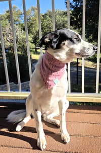 Image 9 of winnie spring market reversible bandana
