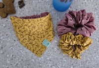 Image 1 of winnie spring market reversible set
