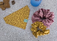 Image 3 of winnie spring market reversible set