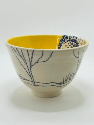 Image of Waveney Valley Willow vessel (#562)