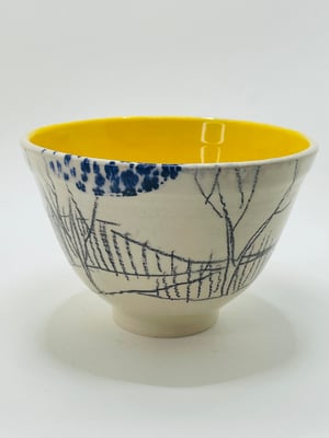 Image of Waveney Valley Willow vessel (#562)