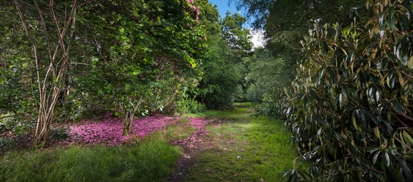 Image of Pollok Park 022