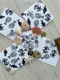 5 x assorted, blank fishy cards