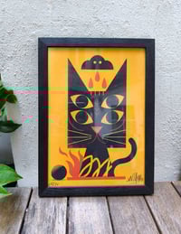 Image 2 of Black Cat 4 eyes - A4