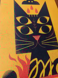 Image 4 of Black Cat 4 eyes - A4