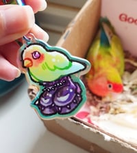 Image 2 of ★ BIRDS WITH SHOES RAINBOW KEYCHAINS ★