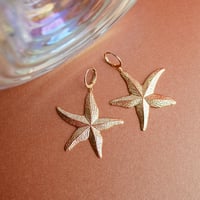 Image 1 of Boucles d'Oreilles GALÉA Or/Argent