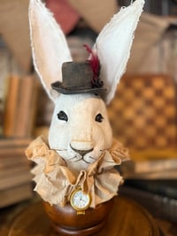 Regal White Rabbit 