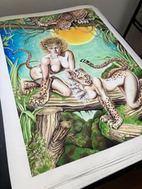 Image 2 of Wildcats print