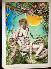 Image 1 of Wildcats print