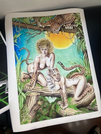 Image 3 of Wildcats print