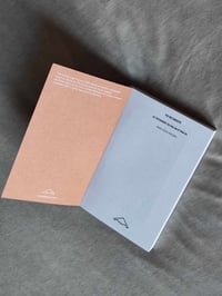 Image 2 of VU DE DROITE - Jean-Louis VIOLEAU