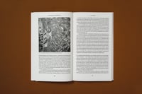 Image 5 of LA ZONE - Justinien TRIBILLON