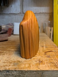 Image of 1. Douglas Fir Spook