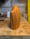 Image of 1. Douglas Fir Spook