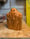 Image of 1. Douglas Fir Spook