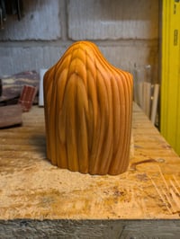 Image of 1. Douglas Fir Spook