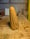 Image of 3. Classic Pine Spook
