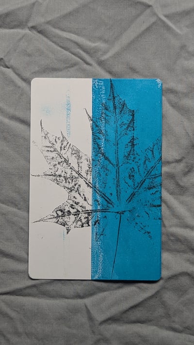 Image of Offcuts Print A6 - Sycamore - Blue