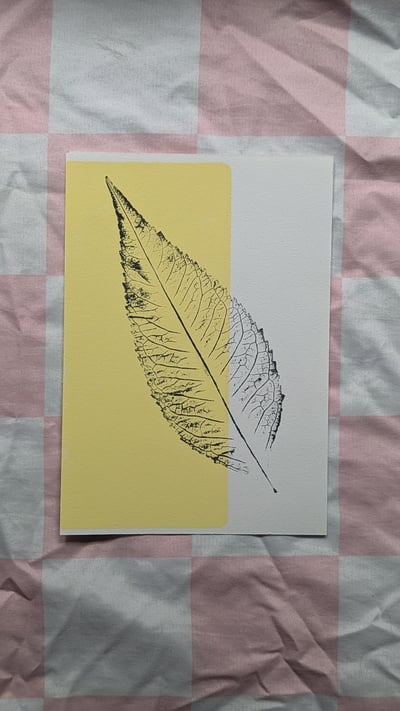 Image of Butterfly Bush - Two Tone Monoprints 3 set - Yellow/Pink/Peach