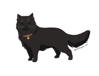 Image 2 of Long Hair Cat Sticker