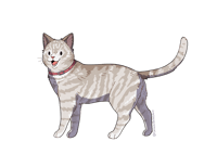 Image 2 of Short Hair Cat Sticker