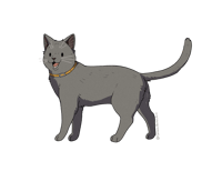 Image 5 of Short Hair Cat Sticker
