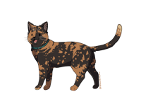 Image 4 of Short Hair Cat Sticker