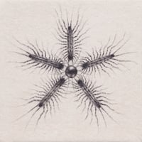 Image 1 of unclean ii (4x4, 8x8, 11x11 inches) limited edition of 100, fine art print