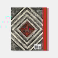 Image 6 of SHEPARD FAIREY, Covert to Overt