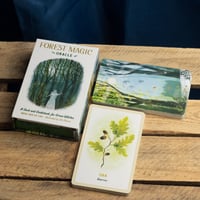 Image 5 of Forest Magic Oracle Deck by Nikki Van De Car