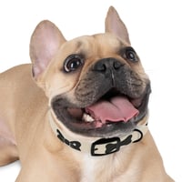 Image 1 of The Bow & Bone Collar | Pet Accessories for Dogs, Cute Dog Gifts, Dog Fashion, Doggie Style