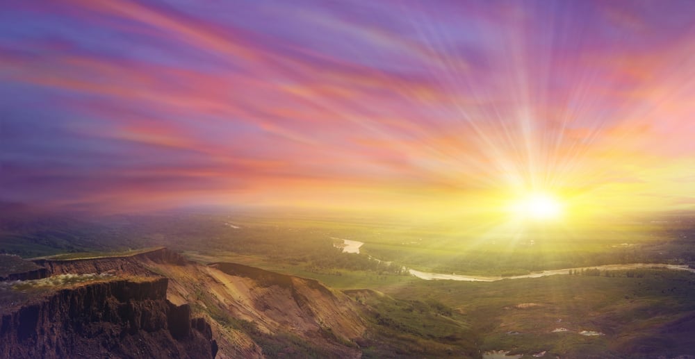 Image of IAOMAI 100% Organic Castille Shower Gel