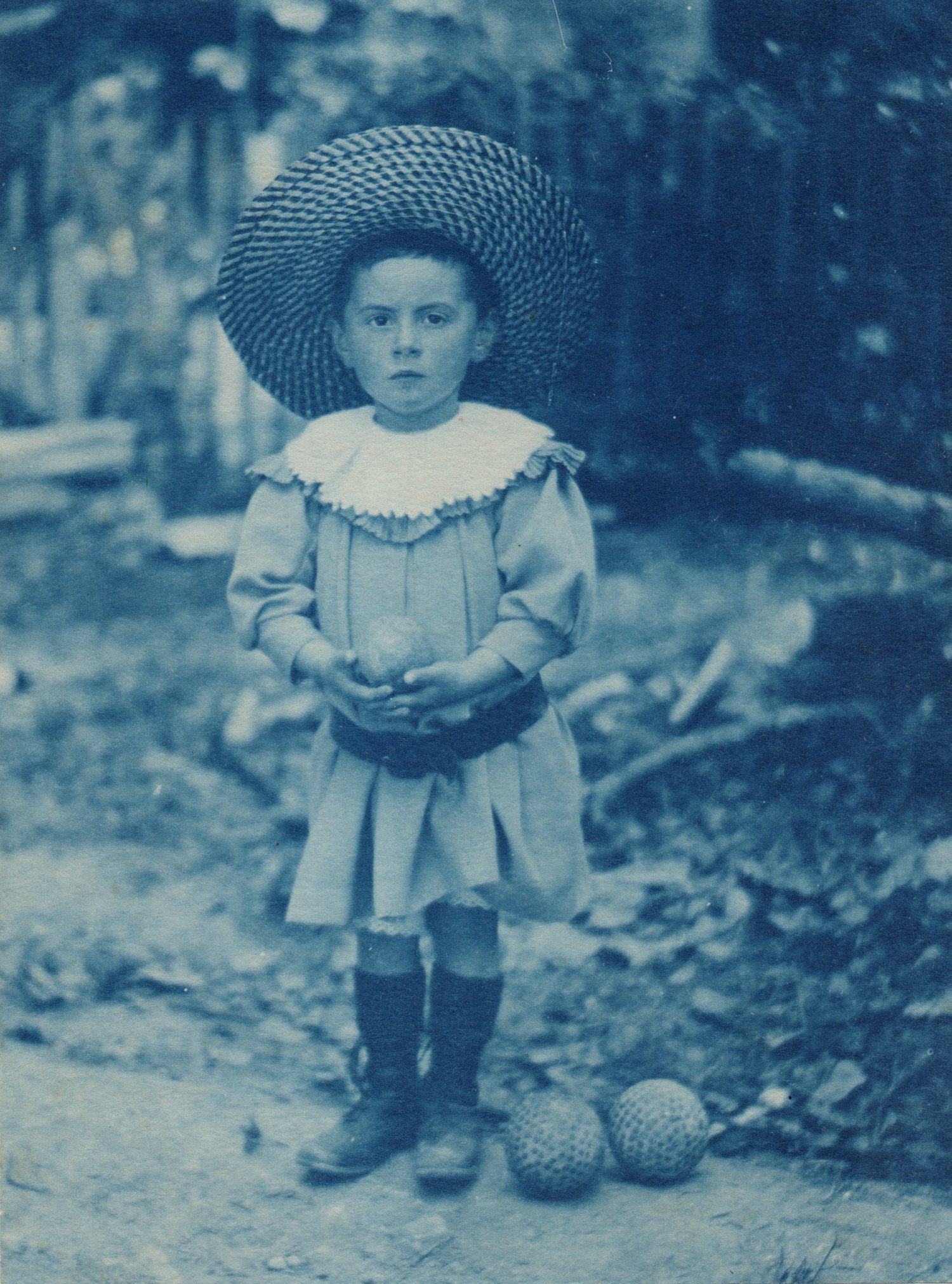 Image of Unknown: boy with his toys, France ca. 1900