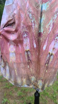 Image 6 of Feathered Fresco