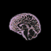 Lavender Sparkle Brains Sticker