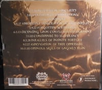 Image 2 of Disgorge - Parellels of Infinite Torture - CD