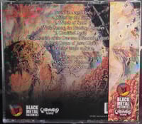 Image 2 of Evil Incarnate - Depopulation Agenda - CD