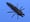 Image of Crittermite