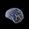 Lavender Sparkle Brains Sticker