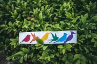 Image 1 of Pride Bird Decals