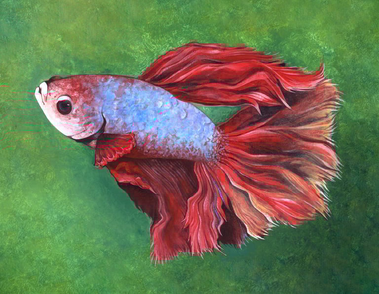 Bruno (Print) Acrylic Painting Image 2