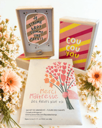 Duo cadeau MAITRESSE Boite diorama + Sachet de graines