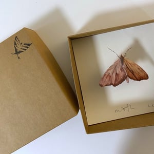 Image of STUDIO SALE - 19 DECEMBER, Richard Randall Studio, Mt Coot-tha Botanic garden