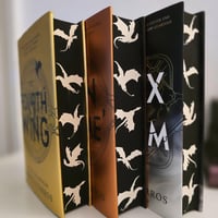 Image 2 of STENCIL ONLY | Fourth Wing | Iron Flame | Onyx Storm | Hardback
