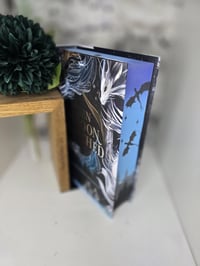 Image 2 of Sarah A. Parker | When The Moon Hatched | Hardback | Paperback