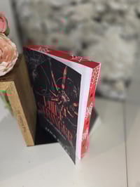 Image 4 of Officially Licensed | Leigh Rivers | Little Stranger | Little Stranger | Paperback